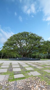深圳仙湖小平手植榕树