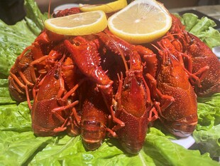冰镇龙虾