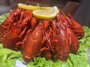 冰镇龙虾  