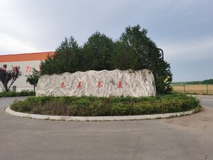 某园区入口标志性景观石