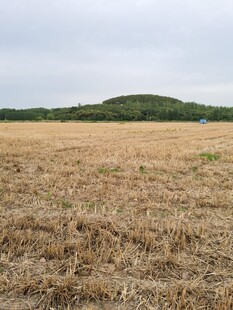麦收后的空旷田野