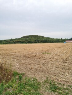 广袤田野尽显田园风光