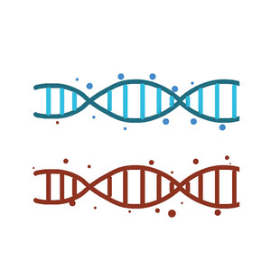双螺旋DNA结构图示