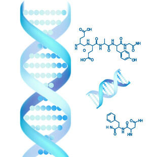 DNA结构与分子图示