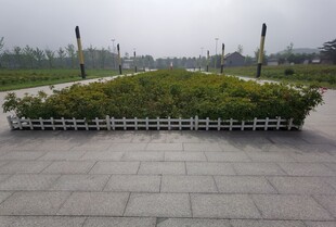 城市广场中的绿植景观