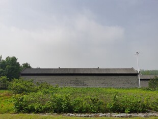 郊外厂房旁的绿植景观