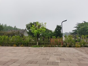 户外空旷的绿植广场场景