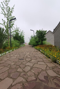 乡村石板小径花草相伴