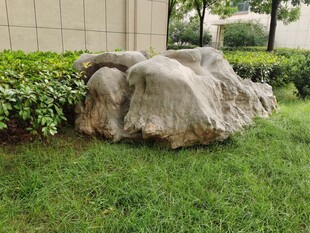 草坪上的景观石