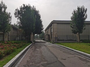 宽阔道路旁的建筑与绿树