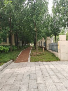 小区内幽静的林荫步道