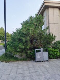 楼旁绿植与户外设备