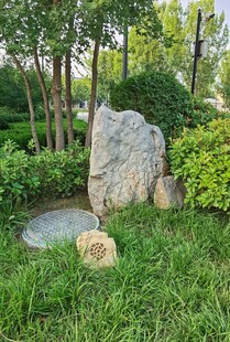 园林景观中的巨石与绿植