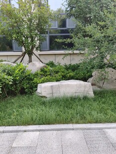 庭院绿植与景石景观