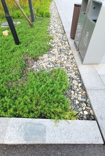 庭院边的绿植与碎石景观