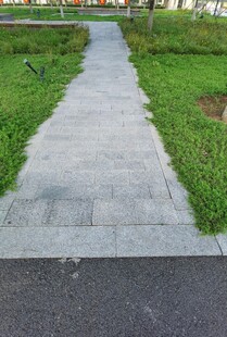 乡间小径绿意环绕