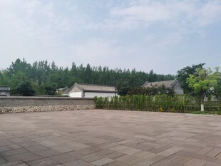 空旷户外场地与远处树林