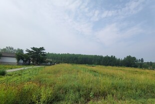 田野风光绿意盎然的景致