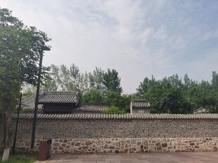 古朴围墙旁的绿树与建筑