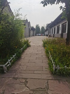 乡村幽静小道绿植相伴