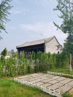 乡村小院静谧田园风光