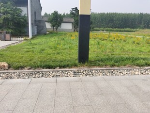 户外草地旁的建筑景观