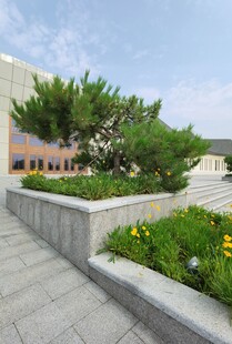 城市中的绿植景观平台