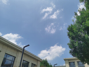 蓝天白云下的建筑与绿树