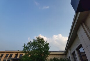 蓝天白云下的建筑与绿树