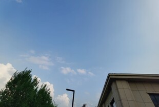 蓝天白云下的建筑与绿树