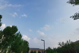 蓝天白云下的绿树景致