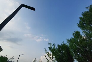 户外路灯与绿树蓝天景象