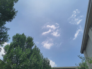 蓝天白云下的绿树与建筑