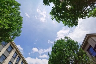 楼宇间的绿树与蓝天白云