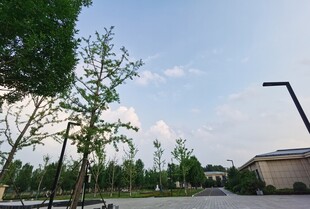 户外开阔绿地景观