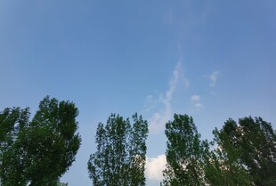 蓝天绿树风景图