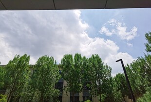 绿树蓝天的户外景致