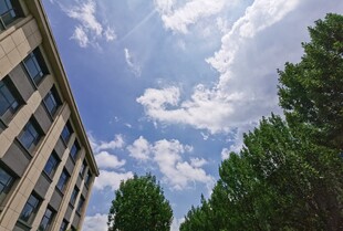 蓝天白云下的建筑与绿树