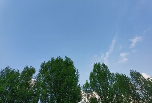 蓝天绿树风景图