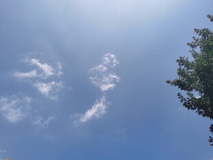 蓝天绿树间的白云