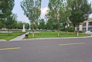 城市中的静谧街道与绿地