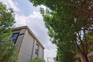 绿树环绕的精致两层建筑