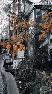 秋日林间小屋的静谧景致