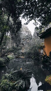 中式园林景观中的静谧角落