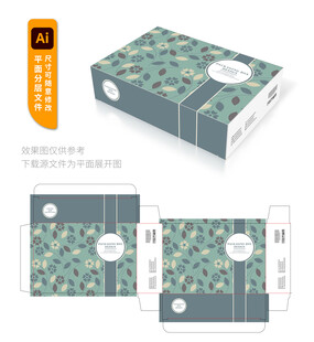 花卉图案包装盒设计模板