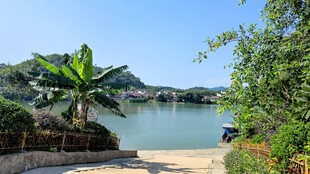 湖畔绿植环绕的美丽景致