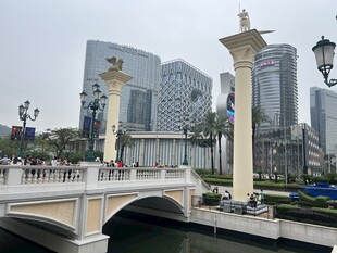 新加坡城市桥梁景观