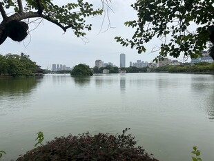 湖畔风光 静谧自然景致