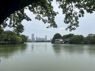 湖畔城市风光 绿意盎然