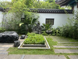 中式庭院绿植景观一角